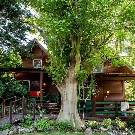 Invito Villa Rosh Pinna Exterior photo