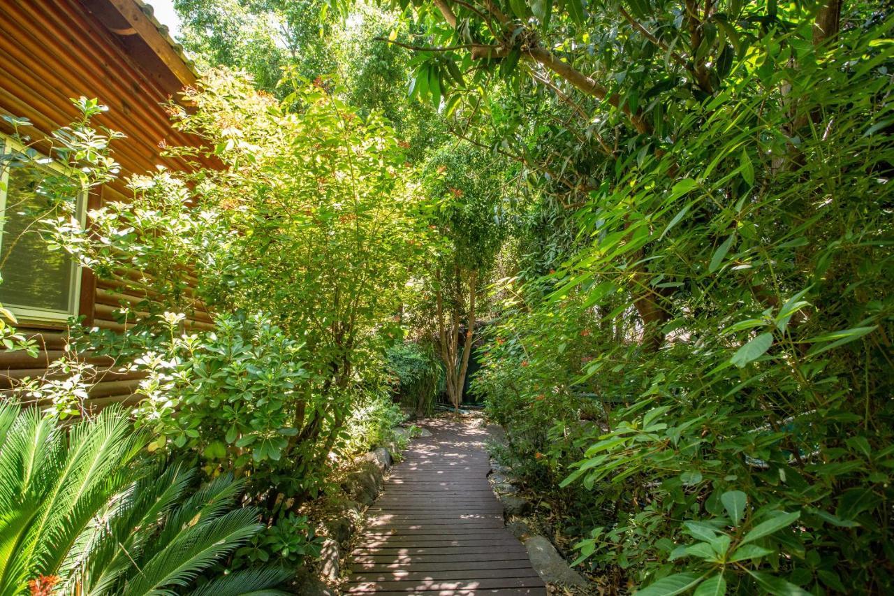 Invito Villa Rosh Pinna Exterior photo